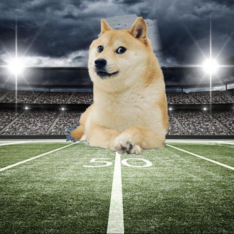 Doge Coin Super Bowl commercial was fake?